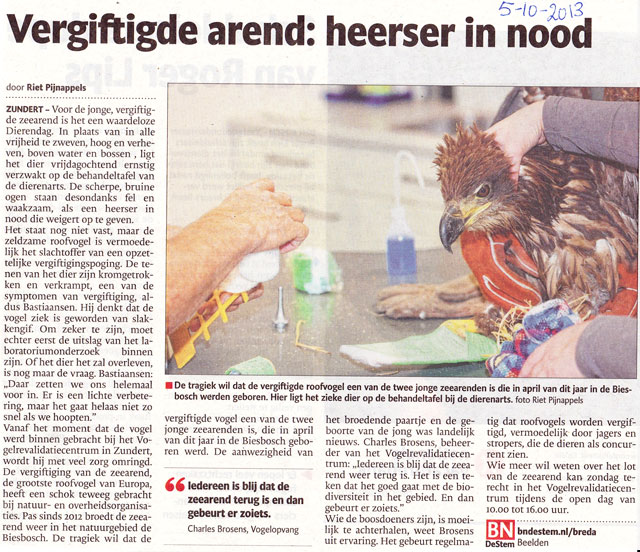 Jonge Biesbosch arend 2013
