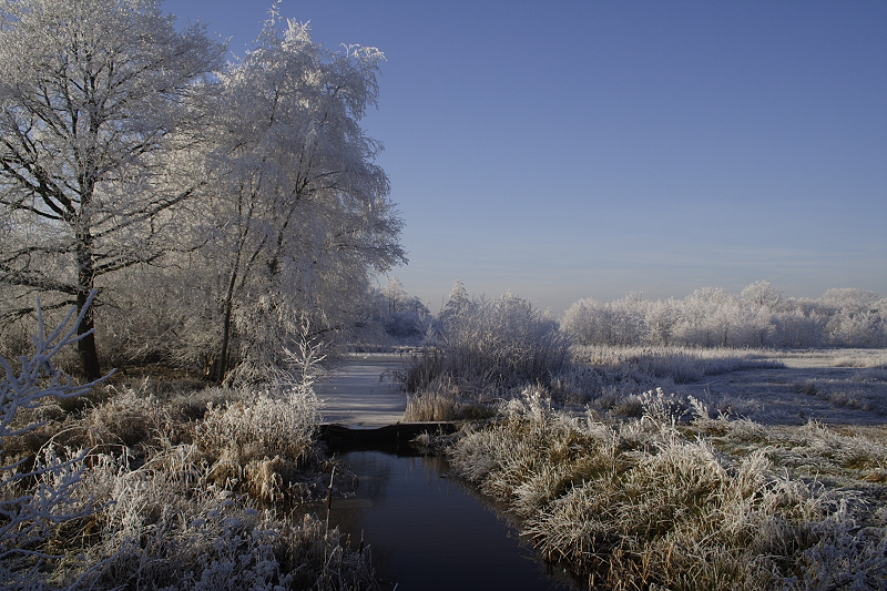 Wintersfeer in de Pannenhoef