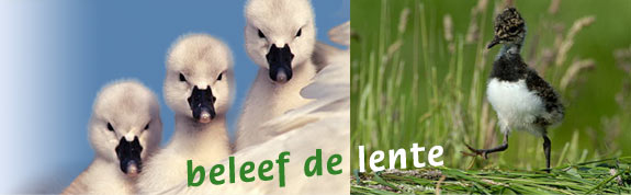 Beleef de lente