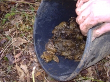 Een beetje pushen helpt